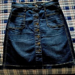 Orvis Denim skirt
